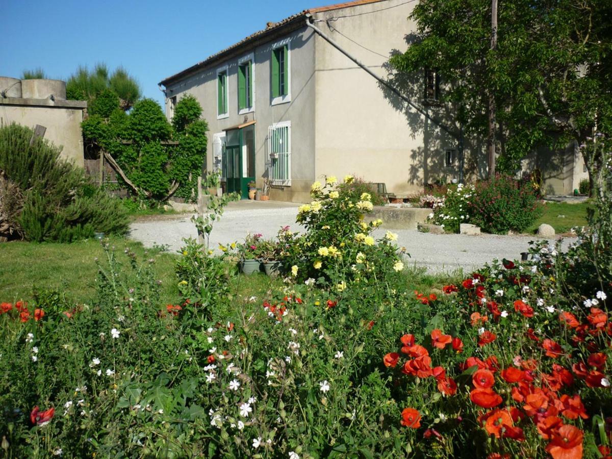 Virevent Villa Carcassonne Ngoại thất bức ảnh